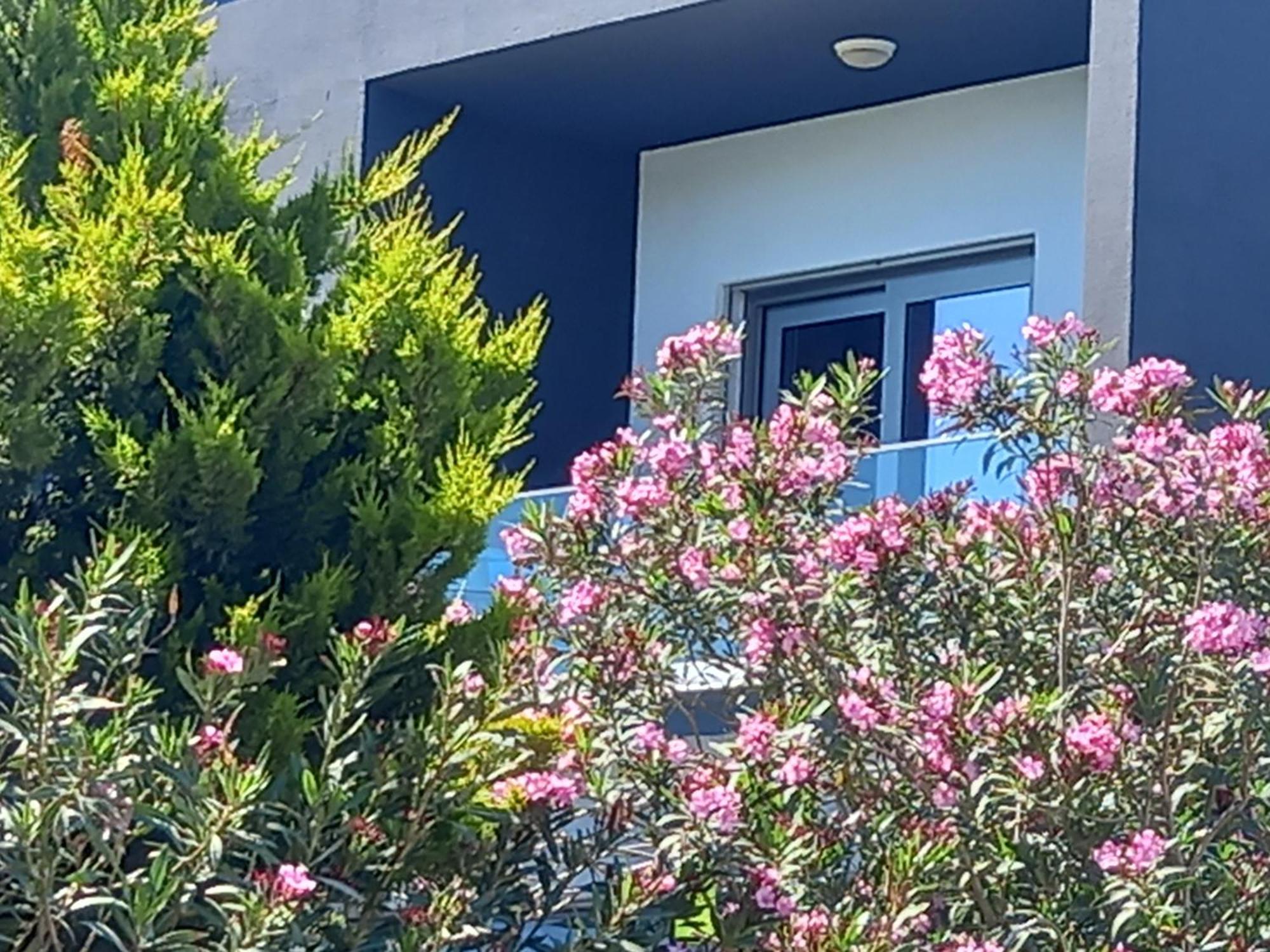Mavi Panorama Villa Cesme Ngoại thất bức ảnh