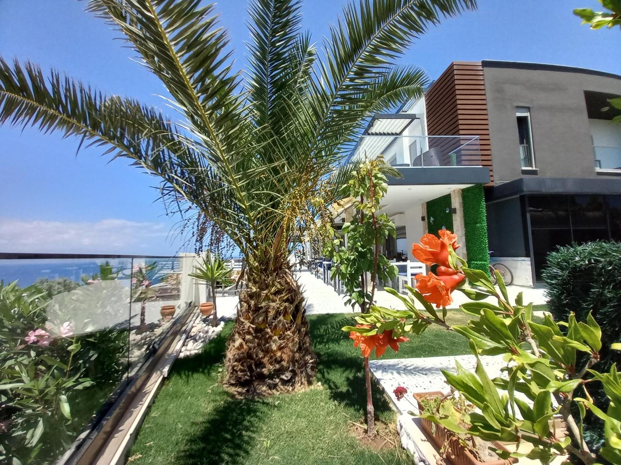 Mavi Panorama Villa Cesme Ngoại thất bức ảnh